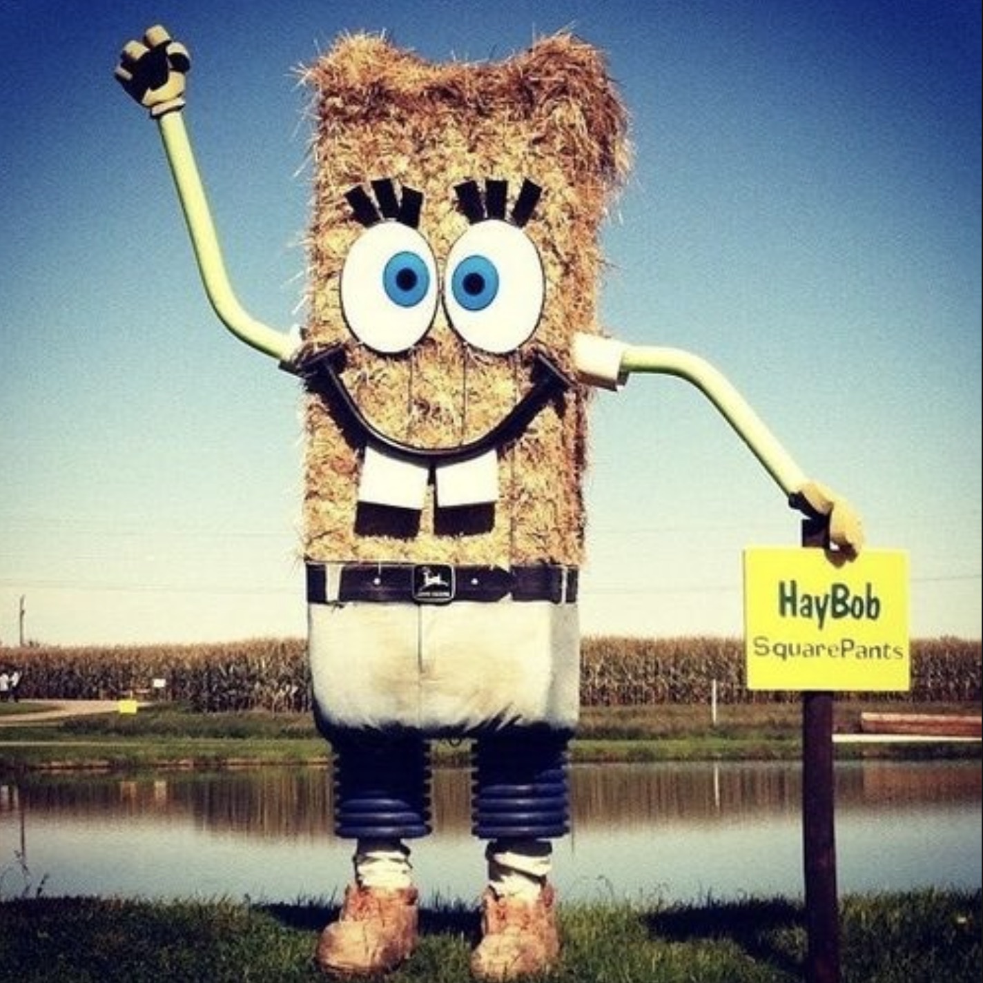 owl - HayBob SquarePants